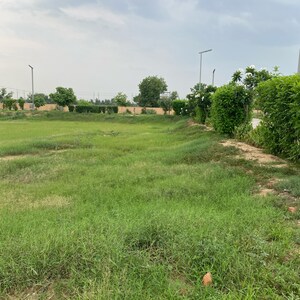 Plot Area in  Plot at Adore Smart City, Sector 97 – for Sale
