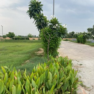  Plot – Garden View at Adore Smart City, Sector 97 - for Sale