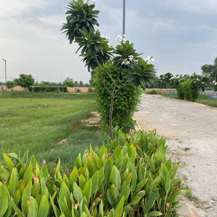 Garden, adore-smart-city  128 Sq.Yd. Plot In Sector 97 Faridabad 8924103