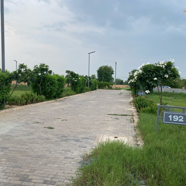 Garden, adore-smart-city  129 Sq.Yd. Plot In Sector 97 Faridabad 8924107