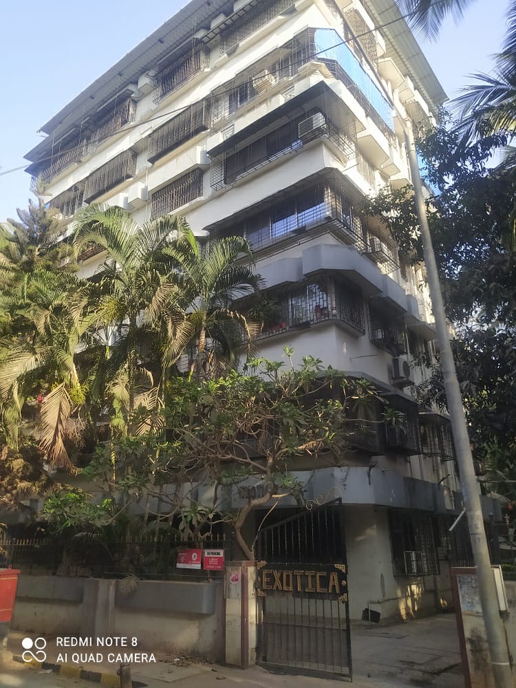 1 BHK Apartment For Rent in Exotica CHS