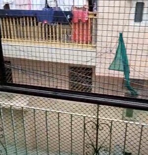 Balcony in 3 BHK Apartment at Vipul Greens, Sector 48 – for Sale