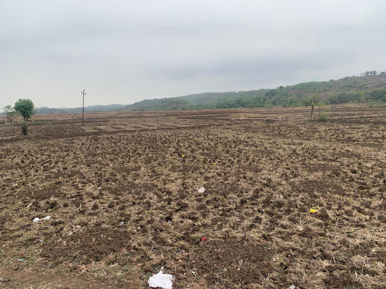 Land For Sale in Residential Plot 