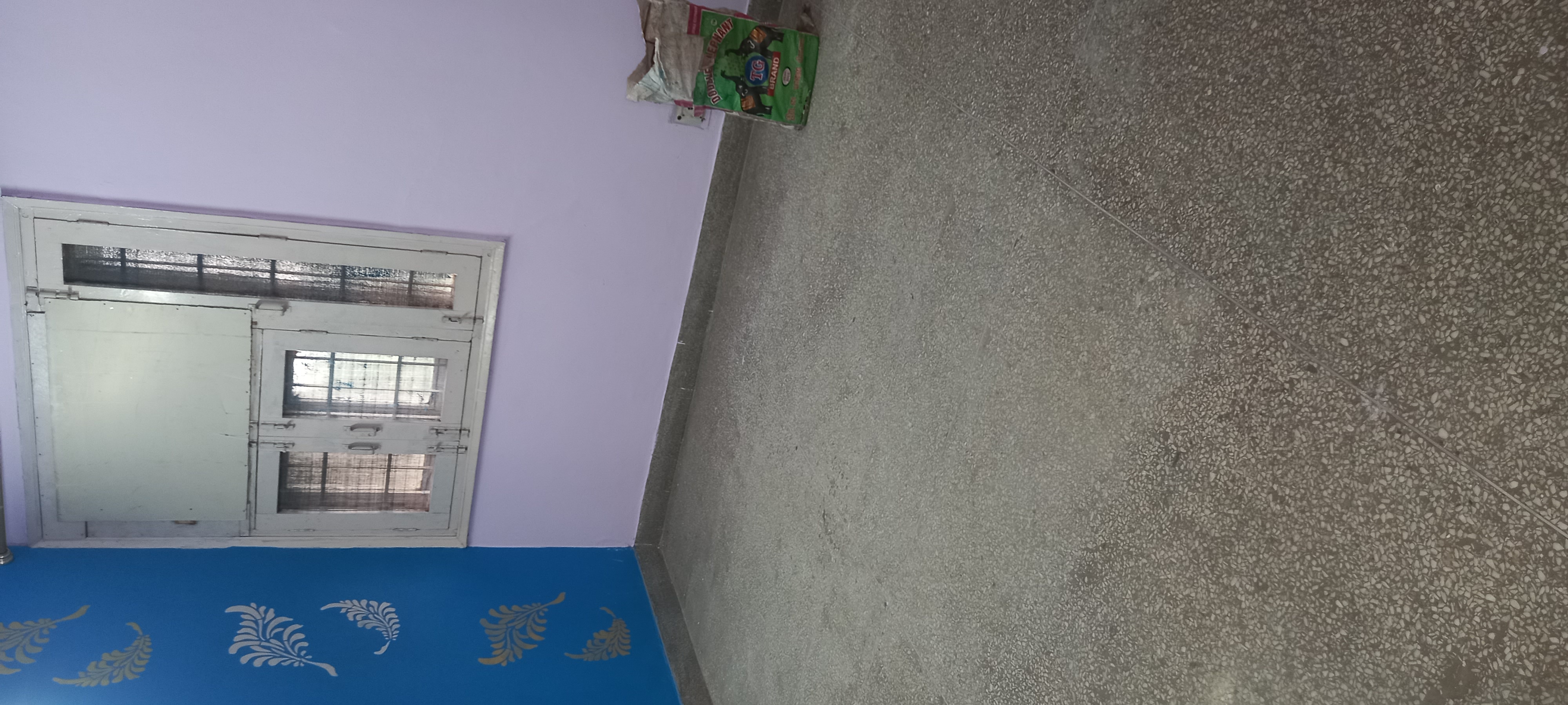 2 BHK + Pooja Room Apartment For Rent in IP Extension