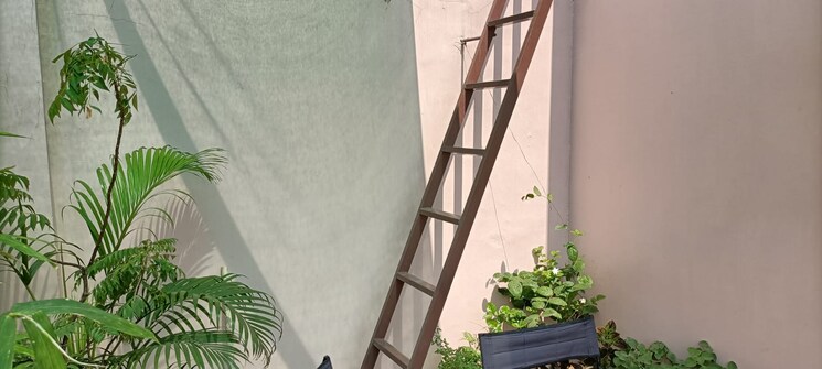 undefined, lajpat nagar i Studio 40 Sq.Yd. Builder Floor In Lajpat Nagar I Delhi 8924768