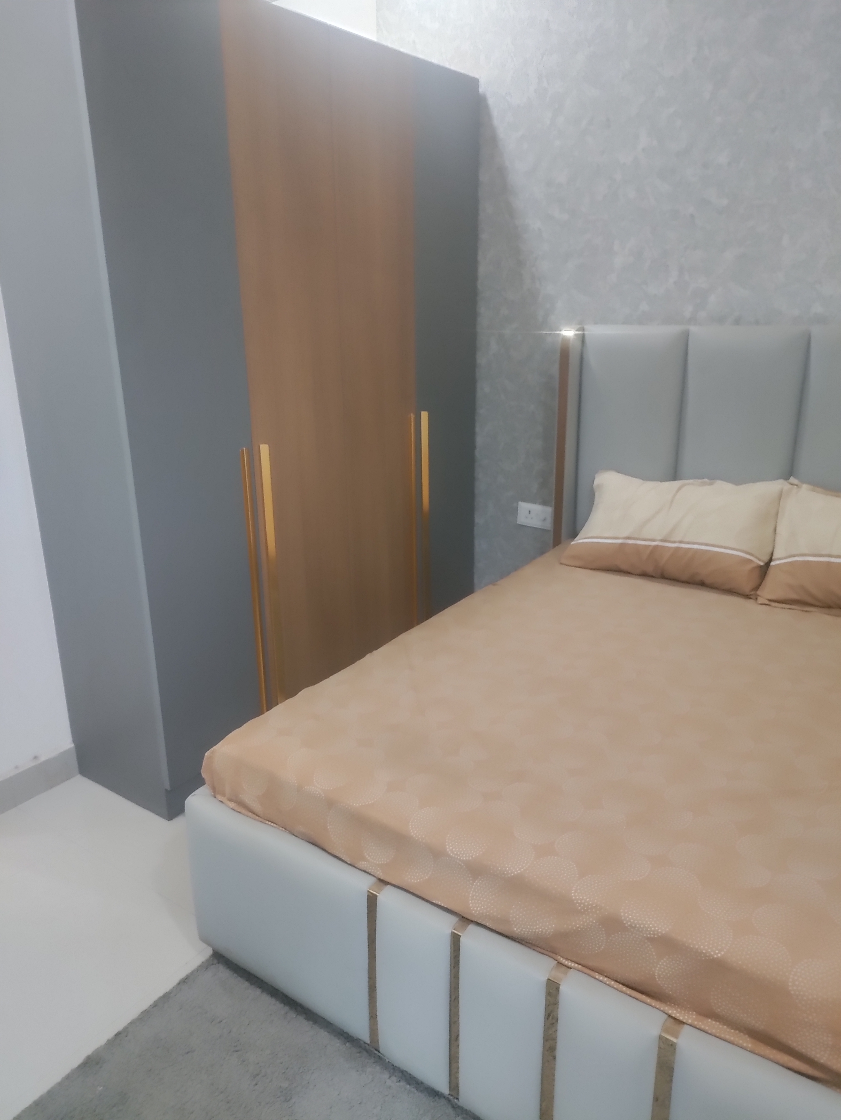 3 BHK Apartment For Sale in Amolik Park View Sector 8