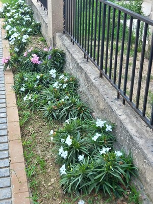 Balcony in 2 BHK Apartment at ATS Allure, Sector 22d Yamuna Expressway – for Sale