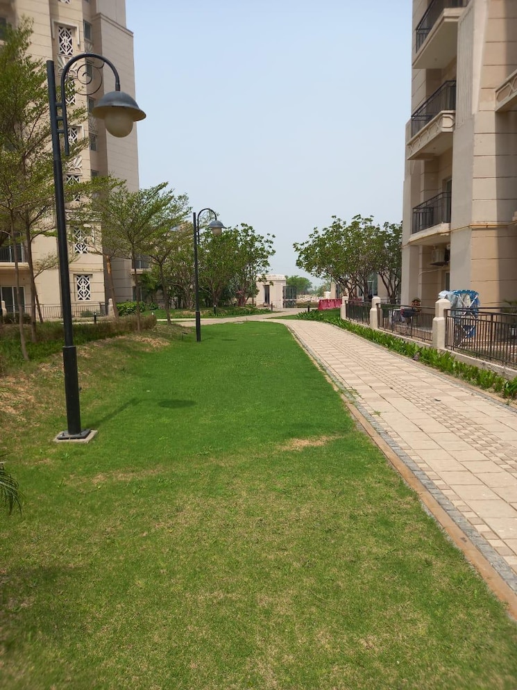 Garden, ats-allure 2 Bedroom 1150 Sq.Ft. Apartment In Sector 22d Yamuna Expressway Greater Noida 8924793