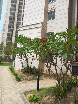 Balcony in 2 BHK Apartment at ATS Allure, Sector 22d Yamuna Expressway – for Sale