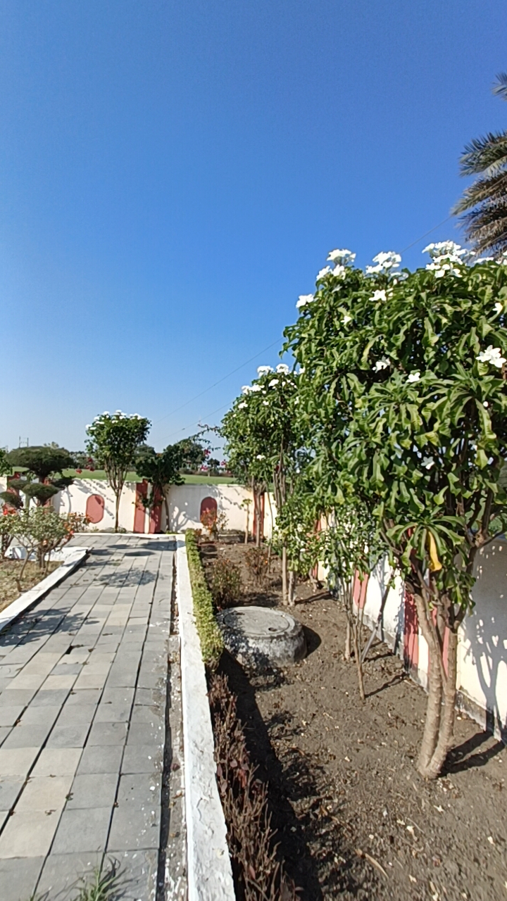 Plot For Sale in Ringnodiya