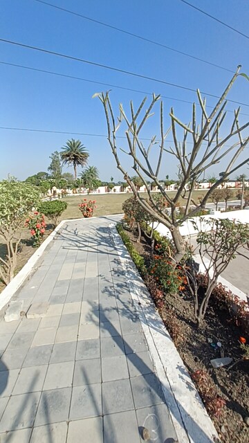  Plot – Exterior View View at Ringnodiya - for Sale