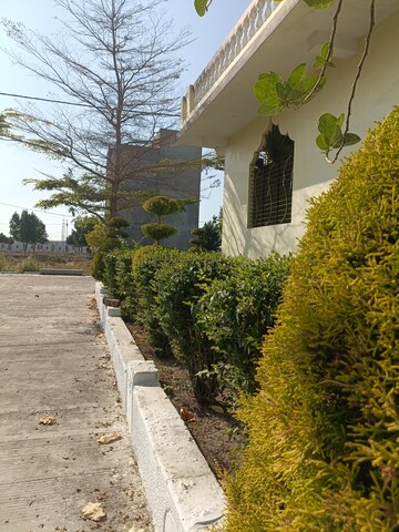  Plot – Exterior View View at Ringnodiya - for Sale