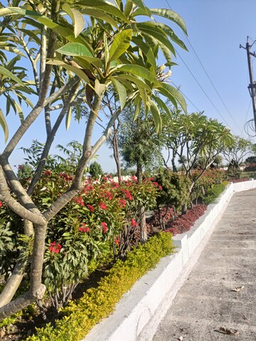  Plot – Garden View at Ringnodiya - for Sale
