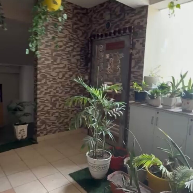 Balcony, supertech-ecociti 2 Bedroom 1082 Sq.Ft. Apartment In Sector 137 Noida 8924961