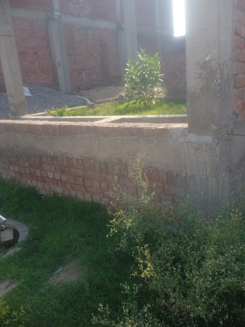 Plot For Sale in Plot For Sale In Kamta