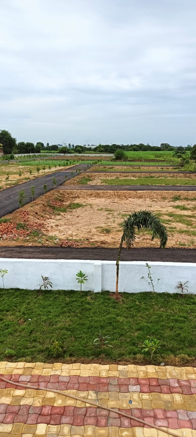 undefined, palm-green  60 Sq.Yd. Plot In Bhanauta Greater Noida 8925582