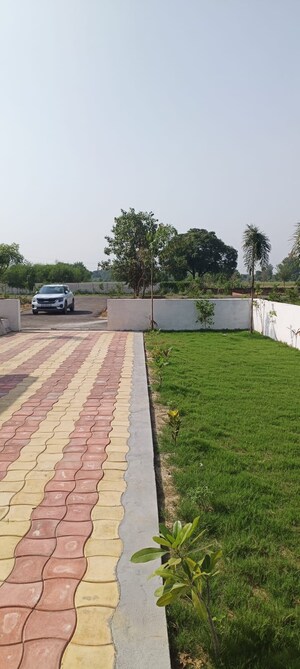  Plot – Exterior View View at Palm Green, Bhanauta - for Sale
