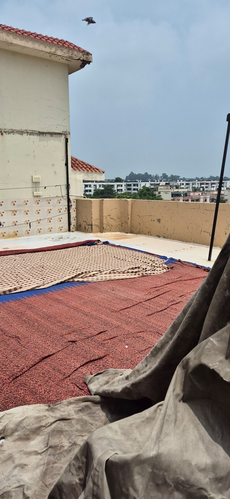 Exterior View, sector 51 3 Bedroom 1400 Sq.Ft. Apartment In Sector 51 Chandigarh 8925630