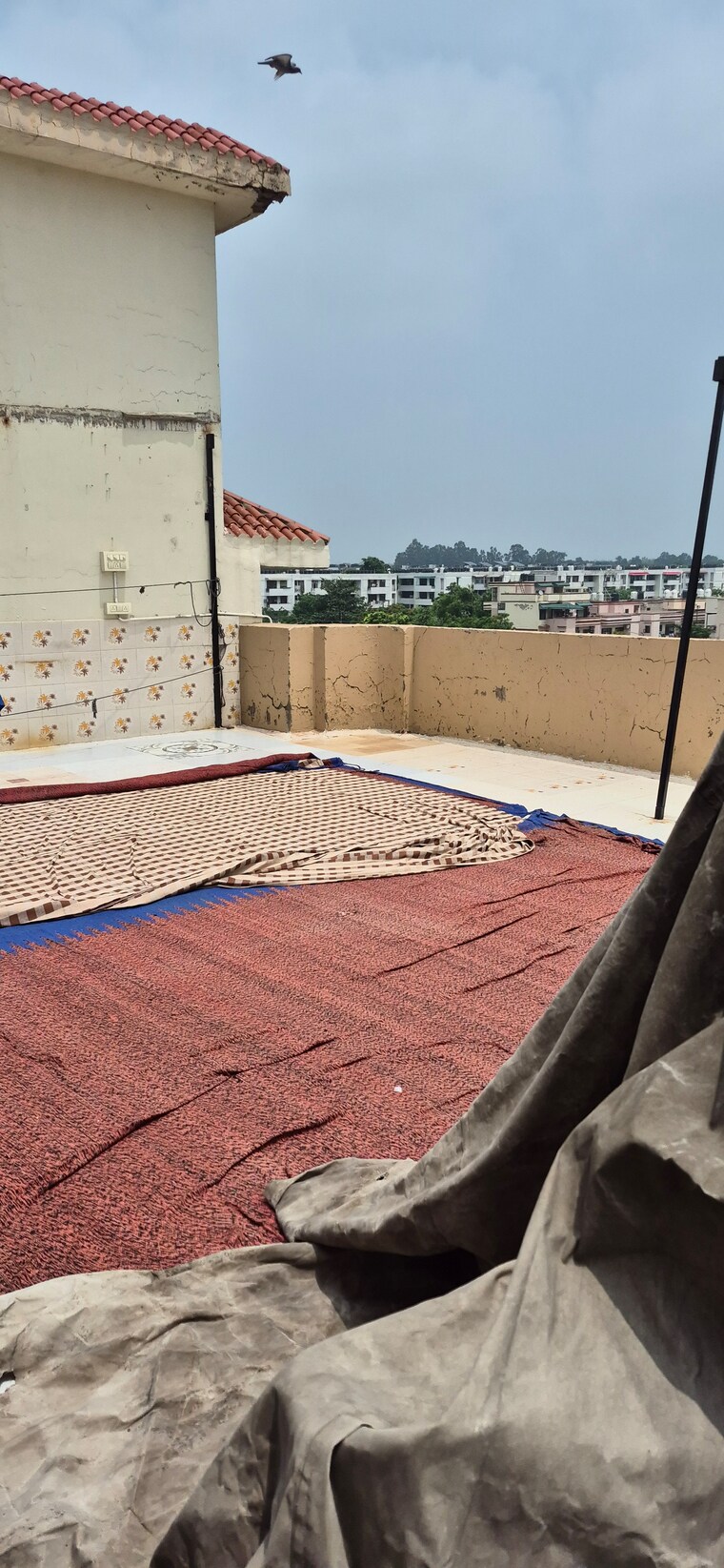 Exterior View, sector 51 3 Bedroom 1400 Sq.Ft. Apartment In Sector 51 Chandigarh 8925630