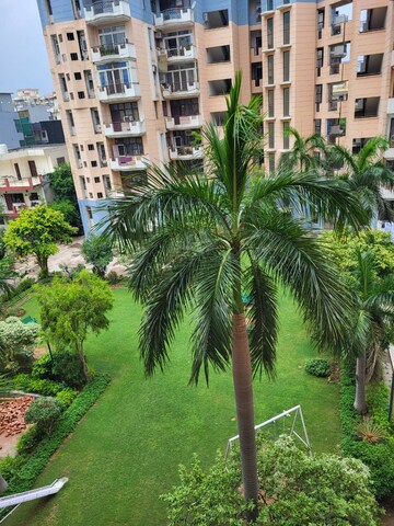 3 BHK Apartment – Exterior View View at Maple Heights, Sector 43 - for Rent