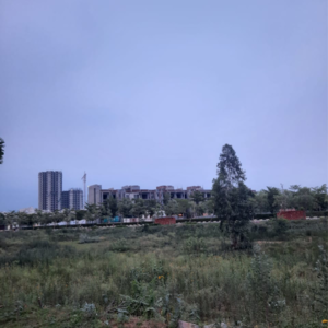 Plot Area in  Plot at DLF Garden City Plots I, Sector 91 – for Sale