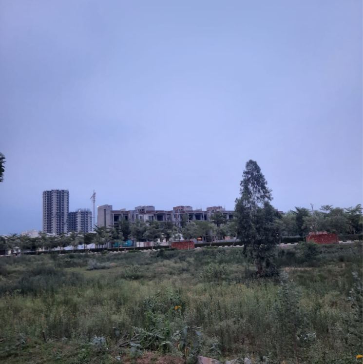 undefined, dlf-garden-city-plots-i  240 Sq.Yd. Plot In Sector 91 Gurgaon 8925687