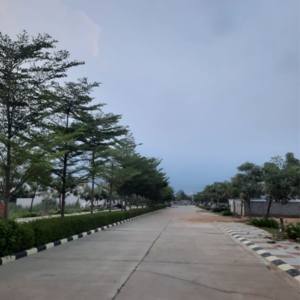 Plot Area in  Plot at DLF Garden City Plots I, Sector 91 – for Sale