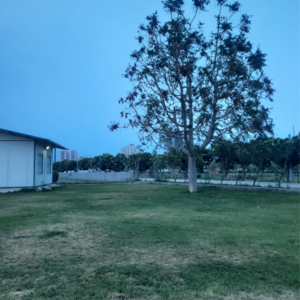 Plot Area in  Plot at DLF Garden City Plots I, Sector 91 – for Sale