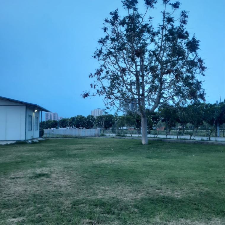 undefined, dlf-garden-city-plots-i  250 Sq.Yd. Plot In Sector 91 Gurgaon 8925755