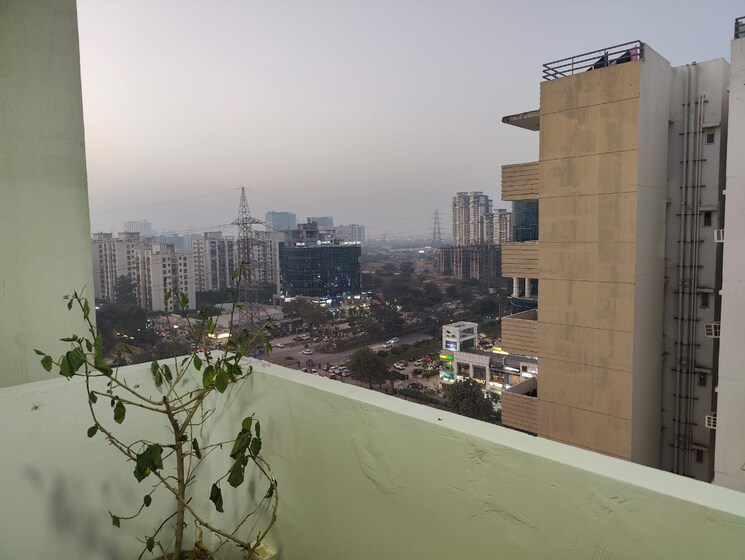 Balcony, tulip-lemon 2 Bedroom 800 Sq.Ft. Apartment In Sector 69 Gurgaon 8925785