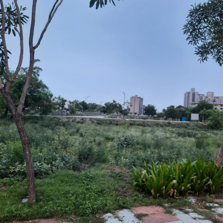 undefined, dlf-garden-city-plots-i  242 Sq.Yd. Plot In Sector 91 Gurgaon 8925776