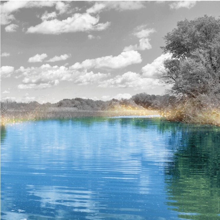 Swimming Pool, whitefield 2 Bedroom 1411 Sq.Ft. Apartment In Whitefield Bangalore 8917361