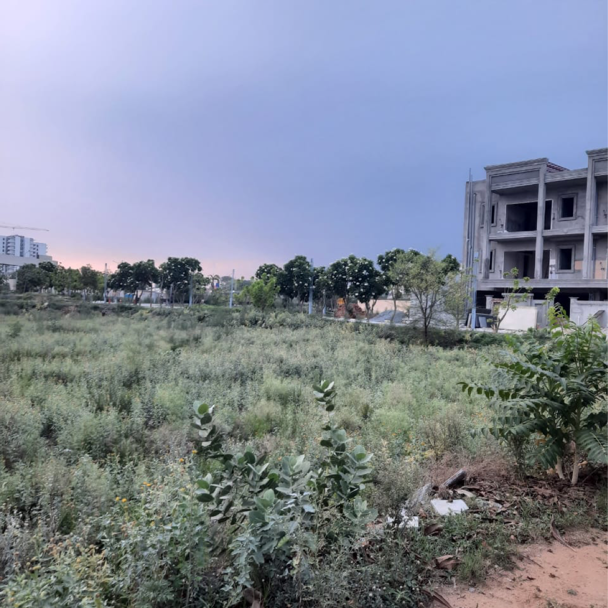 Plot For Sale in DLF Garden City Plots I