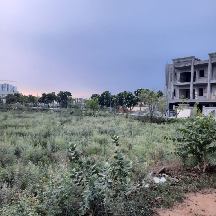 undefined, dlf-garden-city-plots-i  500 Sq.Yd. Plot In Sector 91 Gurgaon 8925834