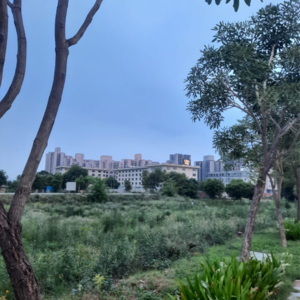  Plot – Garden View at DLF Garden City Plots I, Sector 91 - for Sale