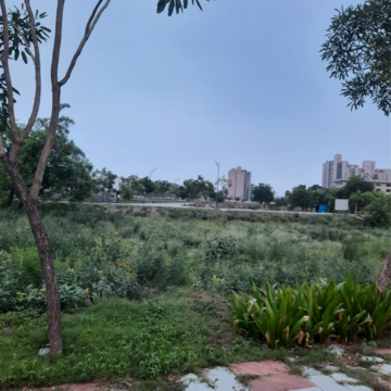 Plot Area in  Plot at Mapsko Aspr Hills, Sector 79 – for Sale
