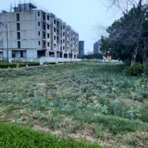  Plot For Sale in Mapsko Aspr Hills, Sector 79