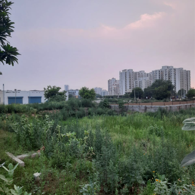 undefined, mapsko-aspr-hills  115 Sq.Yd. Plot In Sector 79 Gurgaon 8925904