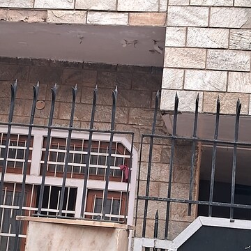 3 BHK Independent House – Exterior View View at Sgm Nagar - for Sale