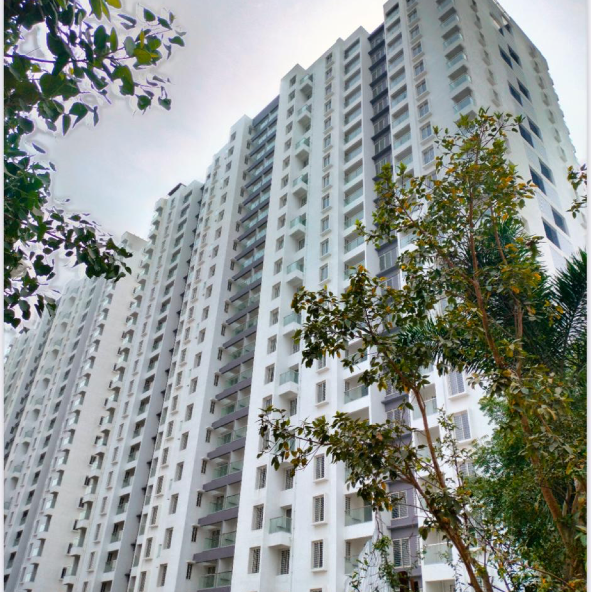 1 BHK Apartment For Rent in Kolte Patil Life Republic R 10