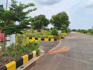  Plot For Sale in Amangal