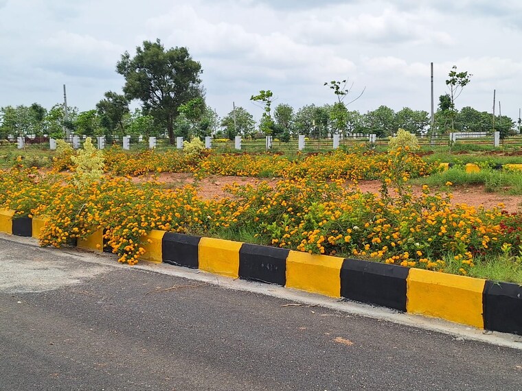 Garden, amangal  1150 Sq.Yd. Plot In Amangal Hyderabad 8926351
