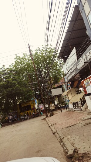  Plot For Sale in Vijay Nagar