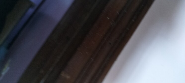 undefined, rwa-apartments-sector-41 1.5 Bedroom 1200 Sq.Ft. Independent House In Sector 41 Noida 8926480