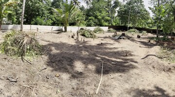  Plot – Exterior View View at Trivandrum - for Sale