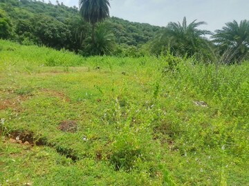  Plot – Garden View at Mandangad - for Sale