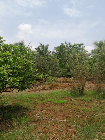 Plot Area in  Plot at Mandangad – for Sale