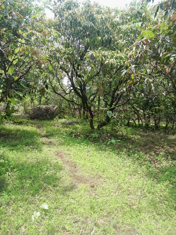  Plot – Garden View at Mandangad - for Sale