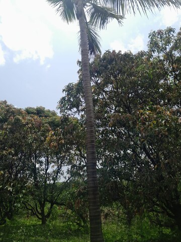  Plot – Garden View at Mandangad - for Sale