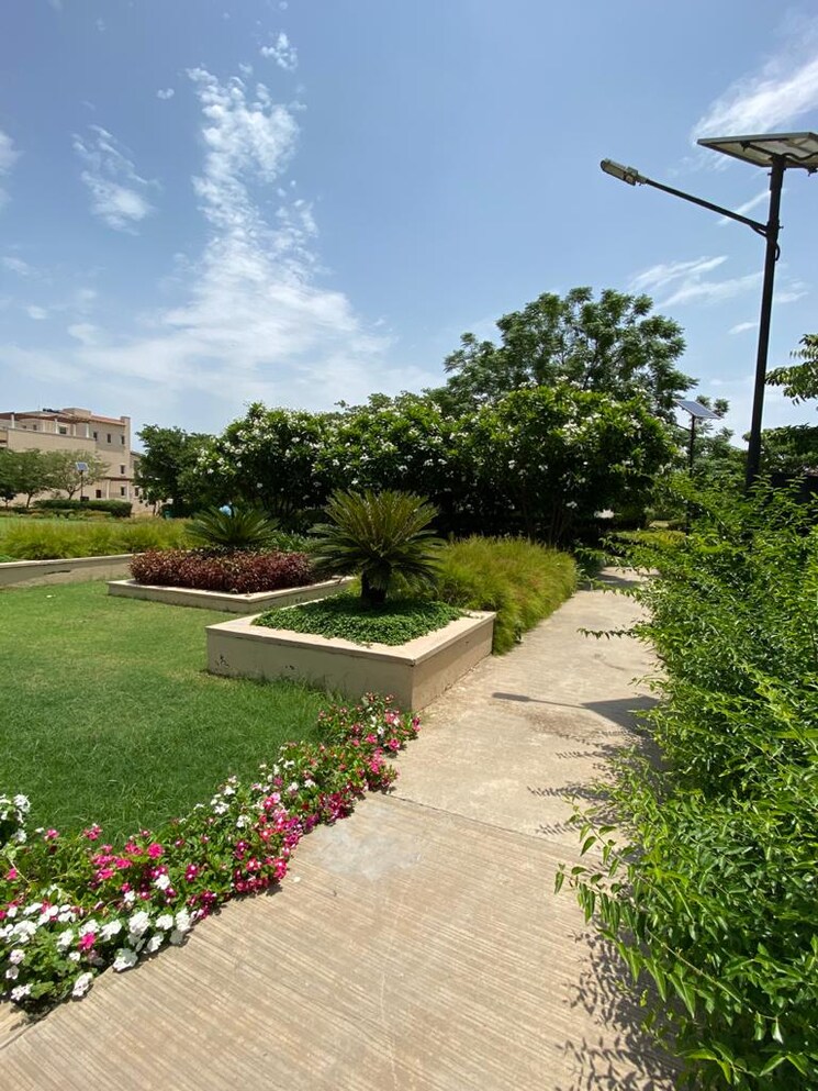 Garden, emaar-mgf-emerald-hills 4 Bedroom 1750 Sq.Ft. Builder Floor In Sector 65 Gurgaon 8926660